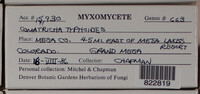 Image Associated With the Occurence